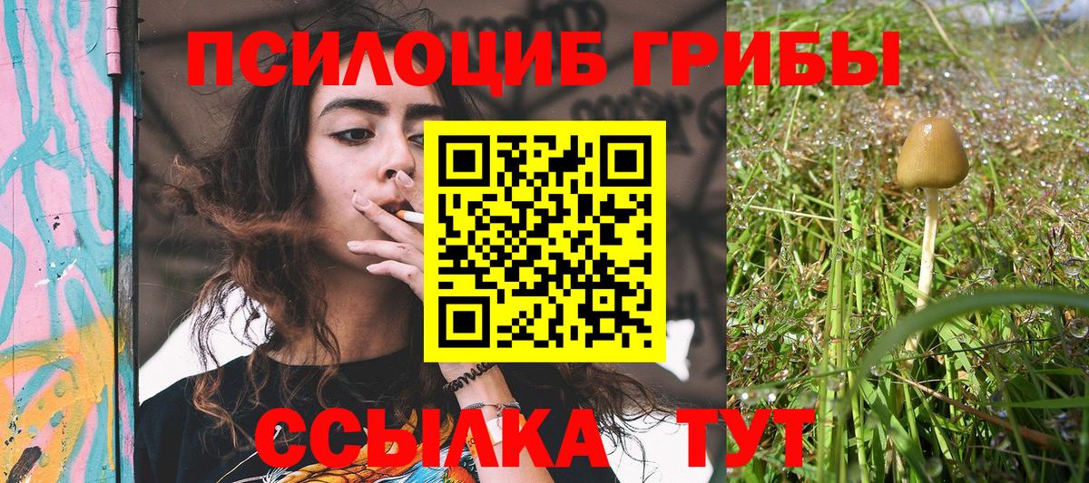 Псилоцибиновые грибы ЛСД Бузулук